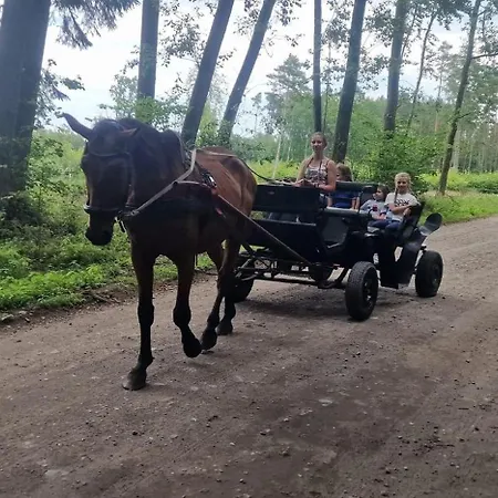 Przylesie21 ウストカ