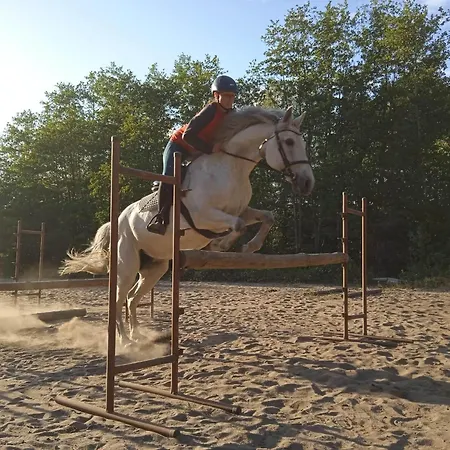 Przylesie21 山林小屋