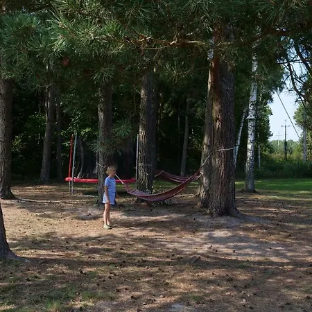 Jaktstuga Przylesie21 *