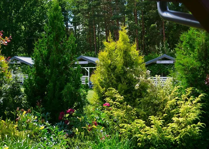 Przylesie21 أوستكا